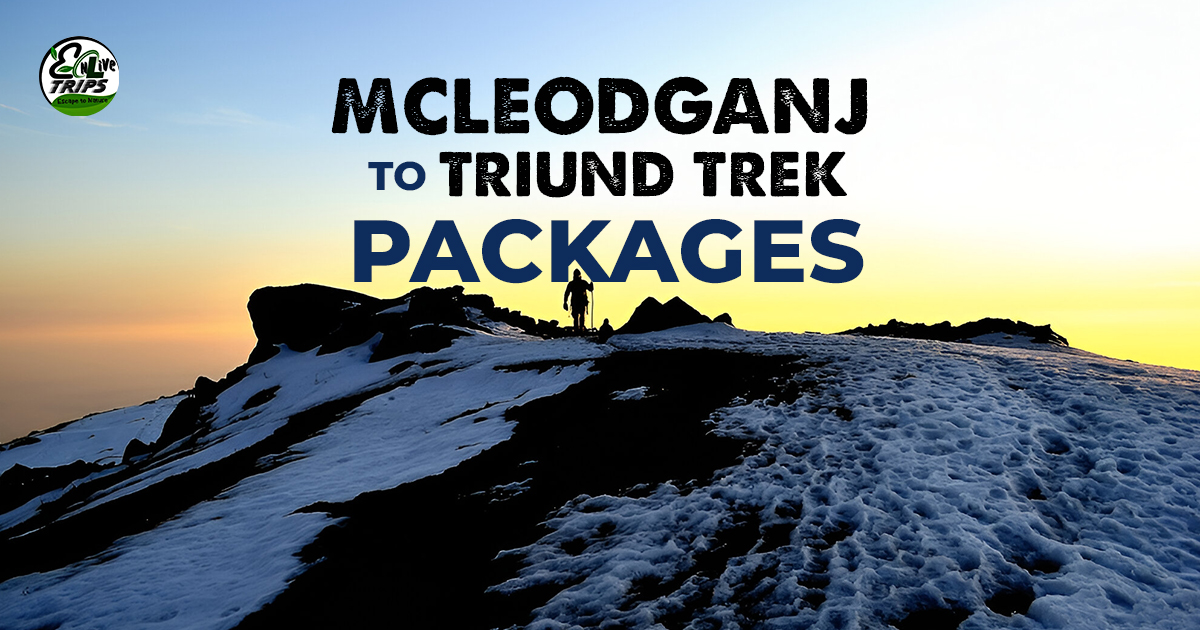 Mcleodganj to Triund trek package